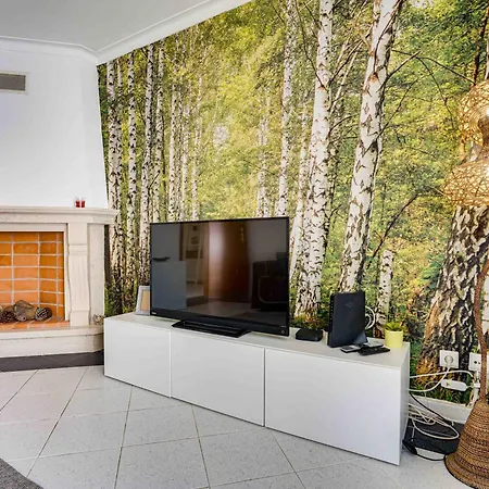 Sun & Surf * 페니케